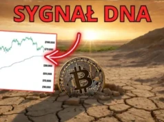 Bitcoin przed kolejnym spadkiem? Czołowy analityk ujawnia moment startu hossy kryptowaluty