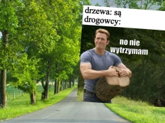 Afera wycinkowa: drogowcy chcą wyrąbać łącznie ok. 7000 drzew na Warmii i Mazurach