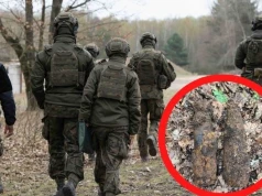 Spacerował po lesie, gdy natrafił na niewybuchy. Na miejsce wezwano saperów