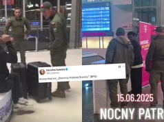 Policja zaczęła kontrolować "zielone ludziki", mężczyzn udających służby i sprawdzających obcokrajowców
