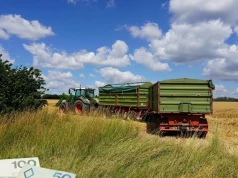 KOWR wydzierżawi ponad 250 ha ziemi. To warto wiedzieć przed przetargiem