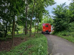 Bóbr postawił Straż Pożarną na nogi. Pojawiło się zagrożenie dla pociągów