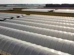 Dofinansowanie dla zrzeszonych producentów owoców – można składać wnioski