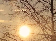 Zielona Góra. Uwaga, niebezpieczny upał zaleje region. Wydano ostrzeżenie