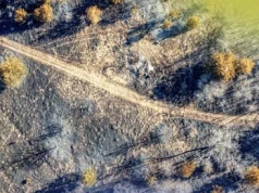 Pożary, spalona ziemia, znikające rzeki – Europa ma problem z suszą
