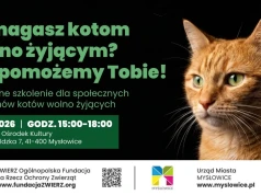 Urząd Miasta Mysłowice organizuje bezpłatne szkolenie dla opiekunów kotów wolno żyjących