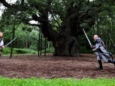Podobno chronił się w nim Robin Hood. Umarł prastary, legendarny dąb