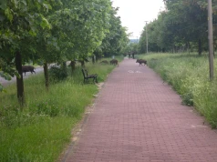 Dzik zaatakował dziecko na krakowskim osiedlu. Roczny maluch trafił do szpitala