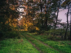 Mieszkają tu tylko dwie osoby. To, co stało się z najmniejszą wsią w regionie, zaskakuje do dziś