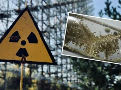 Zniknęła butelka z radioaktywną substancją. Alarm radiologiczny w Argentynie