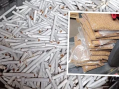 Miał tytoń wart miliony złotych. Prowadził masową nielegalną produkcję