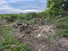 Zbrodnia środowiskowa w Przecławiu. Niszczą siedliska, zalewają stawy, grzebią dekady odpadów