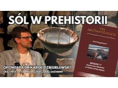 Poza Kontekstem. Sól w Prehistorii