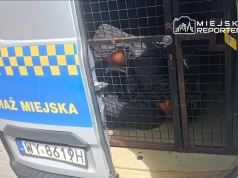 Ukradł gaśnicę i wpadł w ręce strażników miejskich. Był poszukiwany