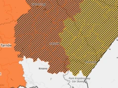 Burze i upały, może zabraknąć prądu. Ostrzeżenie dla Rzeszowa i Podkarpacia