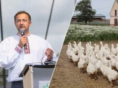 Polska gęsina podbije UE dzięki certyfikatowi. "Można uzyskać 2-krotność przychodów"