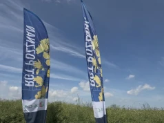 Na jaką odmianę rzepaku postawić? Co proponuje Osadkowski?