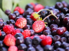 Cukiernie już robią jagodzianki i poziomianki. Ile kosztują w tym sezonie?