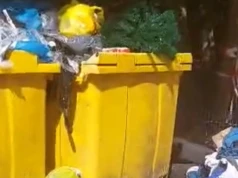 Śmietnikowy koszmar w Siedlcach! Czytelnik wysłał filmik