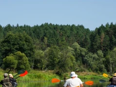 Spływy kajakowe pół godziny od Krakowa. Świetne dla rodzin z dziećmi