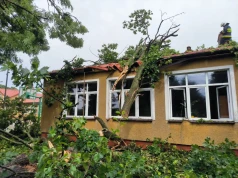 Pomorze Zachodnie po przejściu nawałnic. Powalone drzewa, połamane konary i podtopienia