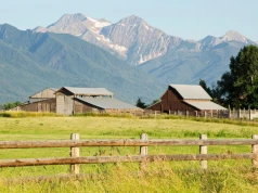 12 000 hektarów poszło za fortunę. Rodzina sprzedała po 60 latach