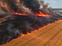 Władze: 25 hektarów upraw rolnych spłonęło w departamencie Cher w centrum kraju