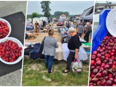 Kubek poziomek kosztował tyle, co kilogram czereśni. Ceny z sokólskiego rynku
