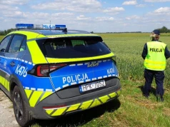 Dramatyczny finał poszukiwań. Schorowany senior odnaleziony w polu pszenicy