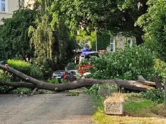 Wiatr i burze w regionie. Niedzielne interwencje strażaków z Legnicy