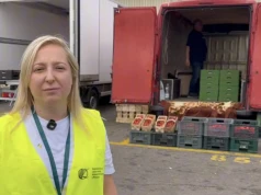 IJHARS ruszył z kontrolami czereśni. Zanim kupisz, sprawdź kraj pochodzenia