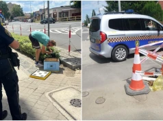 Mieszkańcy skarżący się na chemiczny zapach, zwierzęta wymagające pomocy, usuwanie wraków. Interwencje straży miejskiej