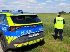 Dramatyczne poszukiwania w regionie. Nieprzytomny 69-latek odnaleziony w polu pszenicy