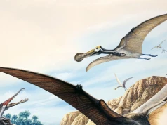 Sprawdzili co jadł pterozaur z epoki kredy. I zaskoczenie - to nie ryby