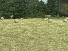 Ile kosztuje siano w tym roku? Ceny zaczynają się od 100 zł za belę