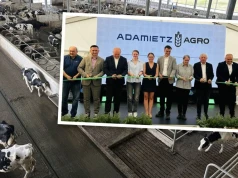Obora mleczna na miarę XXI wieku. Gospodarstwo Rolne „Kłos” pochwaliło się inwestycją