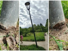 Przechylona, przerdzewiała latarnia nad głowami spacerowiczów. Nie zauważyli, bo była zarośnięta