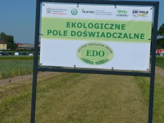 Ekologiczne poletka pod presją suszy. Dni Pola w Szepietowie pokazały problem