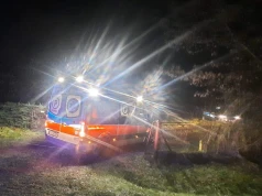Tragedia w lesie. Jakie hipotezy ma policja?