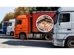 Zatrzymali transport z Turcji. Oto co miało trafić do sklepów w Polsce