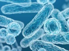 Różnice między prebiotykami, probiotykami i postbiotykami