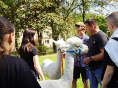 Ciepły posiłek, robotyka i ratunek w kryzysie. Rzeszów po cichu robi coś niesamowitego dla dzieci!
