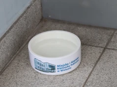 Zwierzętom też doskwiera upał. Wystawianie miseczek z wodą mile widziane!