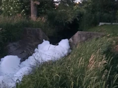 Duża piana na Witówce zaniepokoiła mieszkańca. Zanieczyszczenie dotarło także do stawów hodowlanych