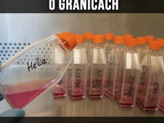 Guz z uprawnieniami administratora