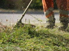 Ponad 5,5 mln zł na koszenie miejskich terenów. Olsztyn rozpoczyna sezon