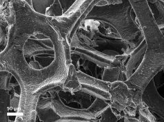 Polscy naukowcy z przełomem w nanografenie. Może oznaczać tańszą elektronikę