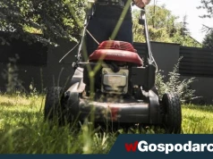 Koszenie trawy – susza zmienia zasady gry