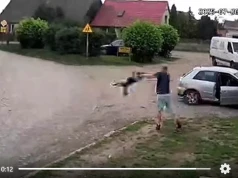 KociArka trafiła do Ognicy: tam, gdzie okrucieństwo nie zna końca