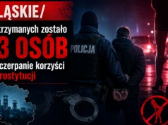 Śląskie/ Zatrzymanych zostało 13 osób za czerpanie korzyści z prostytucji